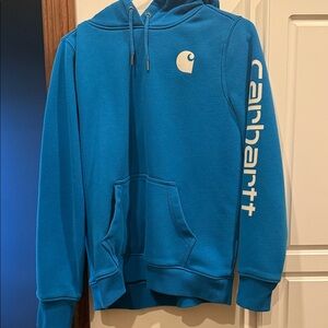 Carhartt Men's Vibrant Blue Hoodie